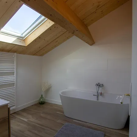 Charmante Maison Avec Climatisation, Wifi Et Animaux Admis A Puycousin - Fr-1-616-391 *
