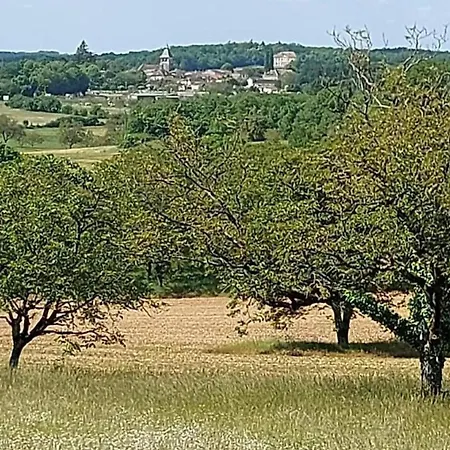 Holiday home Charmante Maison Avec Climatisation, Wifi Et Animaux Admis A Puycousin - Fr-1-616-391 *